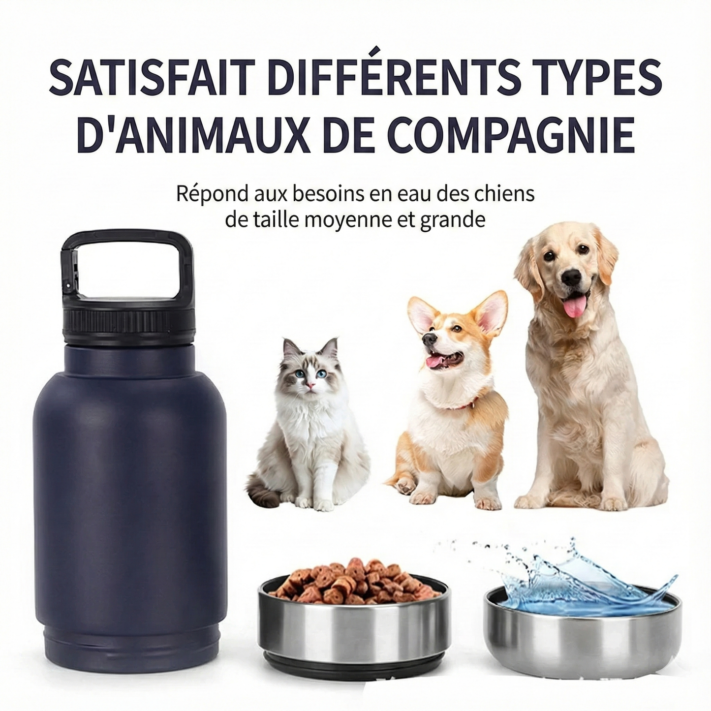 Gourde Isotherme 1L pour Chien & Chat – Bouteille avec Double Gamelle Inox Animio